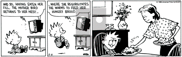 Calvin and Hobbes on Tuesday May 8, 1990 Comic Strip