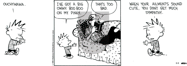 Calvin and Hobbes on Tuesday June 9, 2015 Comic Strip