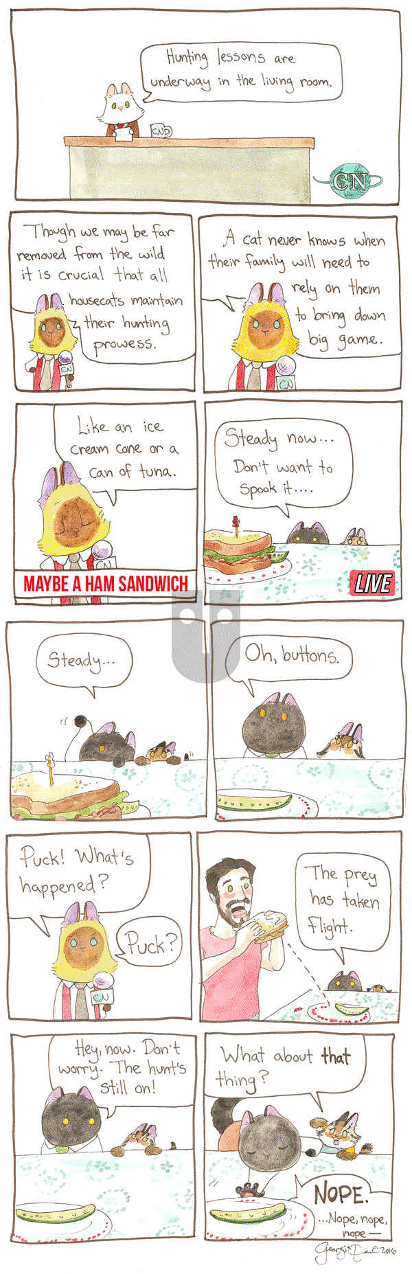 Breaking Cat News on Friday February 24, 2017 Comic Strip