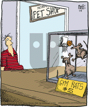 In the Bleachers on Friday February 8, 2013 Comic Strip