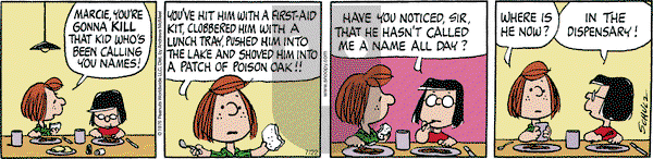 Peanuts - Saturday July 22, 2023 Comic Strip