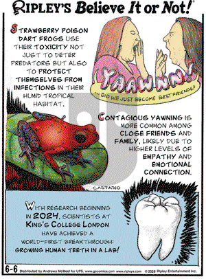 Ripley's Believe It or Not on Friday June 6, 2025 Comic Strip
