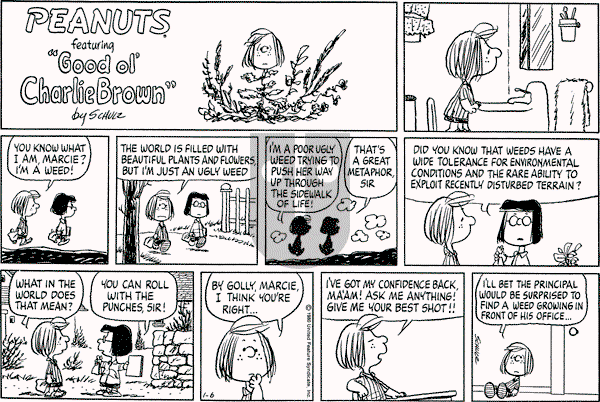 Peanuts - Sunday January 6, 1980 Comic Strip