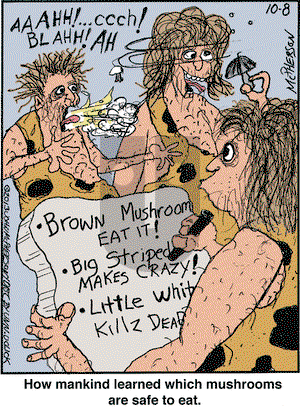 Close to Home on Tuesday October 8, 2013 Comic Strip