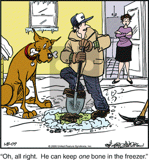 Marmaduke on Thursday January 8, 2009 Comic Strip