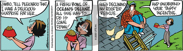 Rose is Rose on Friday July 10, 2020 Comic Strip
