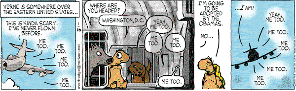 Over the Hedge on Friday January 16, 2009 Comic Strip
