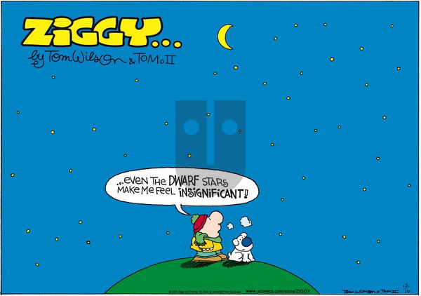 Ziggy on Sunday December 16, 2001 Comic Strip