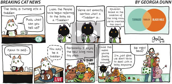Breaking Cat News on Sunday June 17, 2018 Comic Strip
