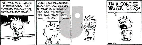 Calvin and Hobbes - Friday December 3, 1993 Comic Strip