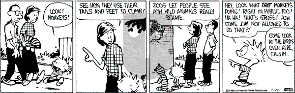 Calvin and Hobbes - Wednesday July 20, 1988 Comic Strip