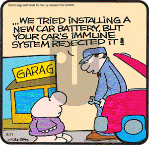 Ziggy - Tuesday August 11, 2009 Comic Strip