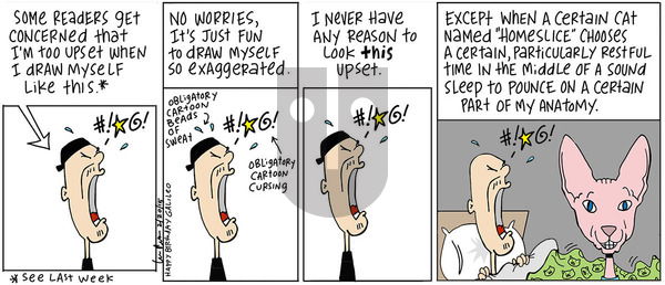The Big Picture - Saturday February 15, 2020 Comic Strip