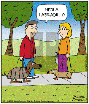 Half Full - Monday June 8, 2015 Comic Strip