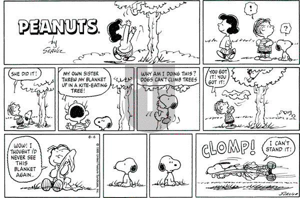 Peanuts - Sunday August 6, 1995 Comic Strip