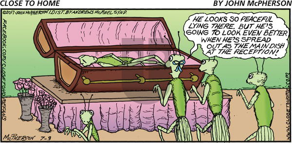 Close to Home on Sunday July 9, 2017 Comic Strip