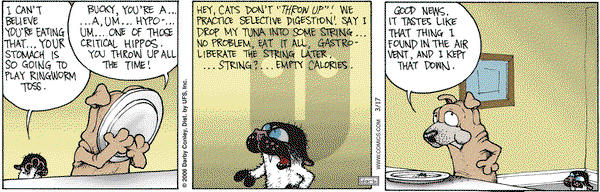 Get Fuzzy on Friday March 17, 2006 Comic Strip