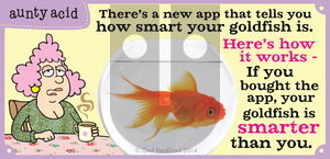 Aunty Acid on Sunday December 7, 2014 Comic Strip