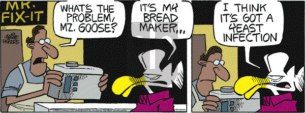 Mother Goose and Grimm - Tuesday April 16, 2024 Comic Strip