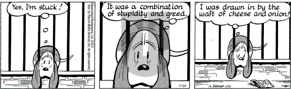 Fred Basset on Tuesday November 20, 2001 Comic Strip