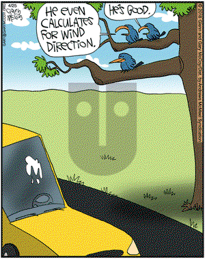 The Flying McCoys on Wednesday April 25, 2018 Comic Strip