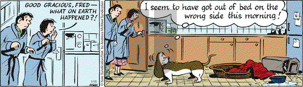Fred Basset on Monday January 16, 2017 Comic Strip