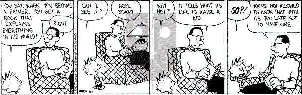 Calvin and Hobbes - Monday November 1, 1993 Comic Strip