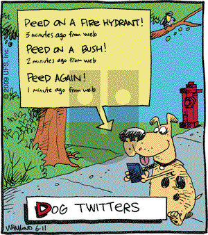 Reality Check on Thursday June 11, 2009 Comic Strip