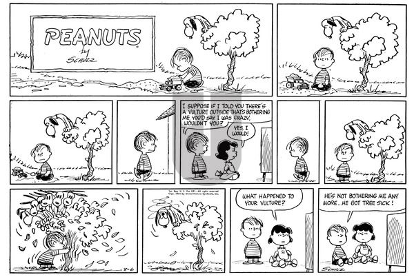 Peanuts on Sunday August 6, 1961 Comic Strip