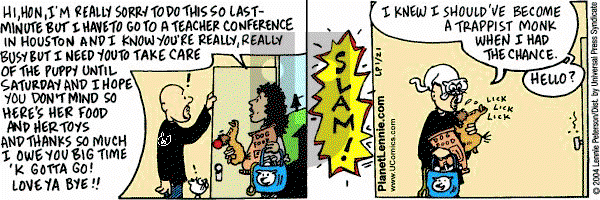 The Big Picture on Wednesday June 4, 2025 Comic Strip