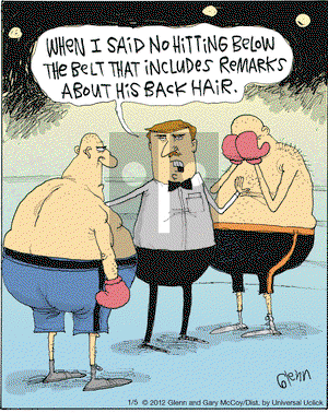 The Flying McCoys on Thursday January 5, 2012 Comic Strip