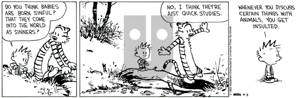 Calvin and Hobbes on Saturday April 3, 1993 Comic Strip