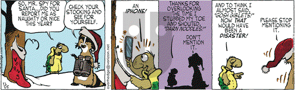 Over the Hedge on Thursday December 25, 2008 Comic Strip