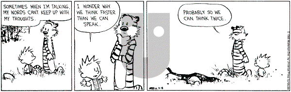 Calvin and Hobbes - Saturday March 18, 1995 Comic Strip