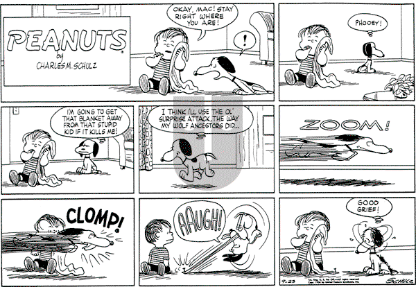 Peanuts - Sunday September 23, 1956 Comic Strip