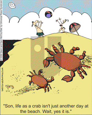 The Flying McCoys on Saturday March 14, 2009 Comic Strip