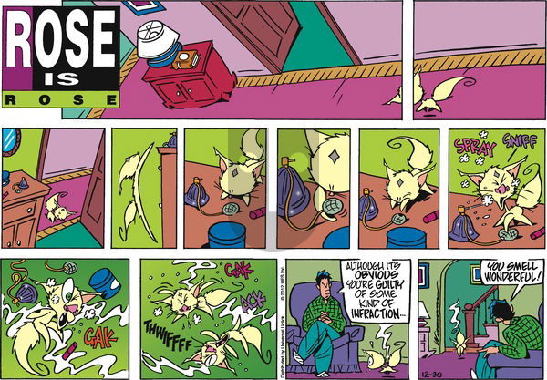 Rose is Rose on Sunday December 30, 2012 Comic Strip