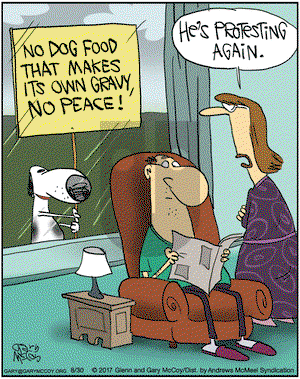 The Flying McCoys on Wednesday August 30, 2017 Comic Strip