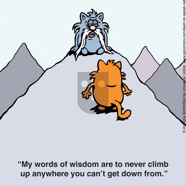 Learn to Speak Cat - Sunday September 17, 2023 Comic Strip