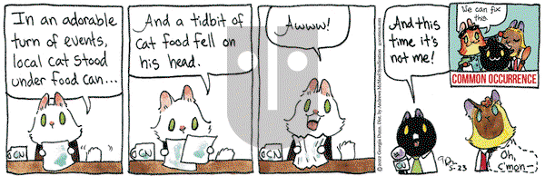 Breaking Cat News - Monday May 23, 2022 Comic Strip
