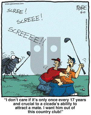 In the Bleachers on Monday August 10, 2009 Comic Strip