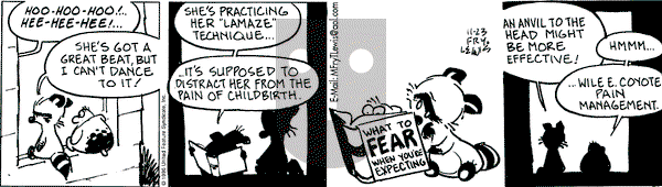 Over the Hedge on Saturday November 23, 1996 Comic Strip