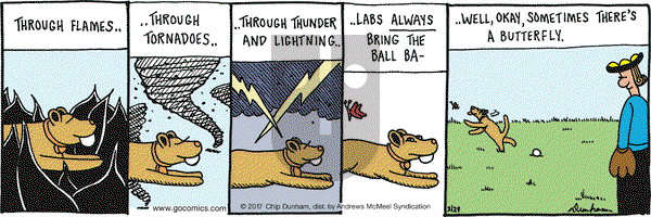 Overboard on Wednesday March 29, 2017 Comic Strip
