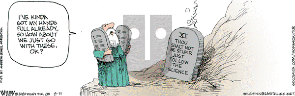 Non Sequitur - Monday August 31, 2020 Comic Strip