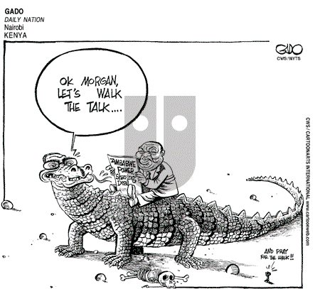 ViewsAfrica on Tuesday September 23, 2008 Comic Strip