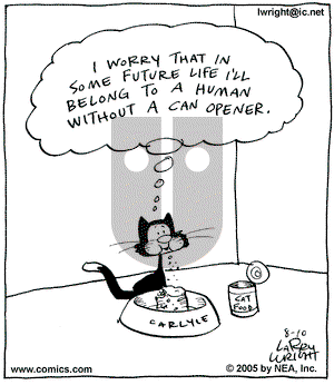 Kit 'N' Carlyle on Wednesday August 10, 2005 Comic Strip