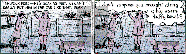 Fred Basset - Wednesday December 4, 2019 Comic Strip