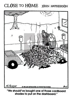 Close to Home on Tuesday October 10, 1995 Comic Strip