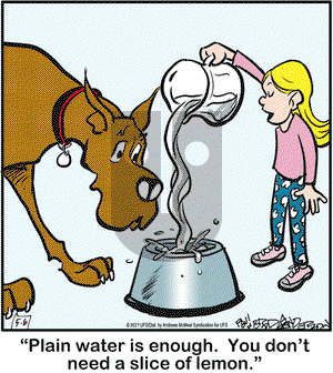 Marmaduke on Thursday May 6, 2021 Comic Strip