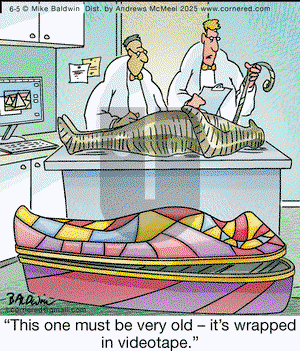 Cornered on Thursday June 5, 2025 Comic Strip